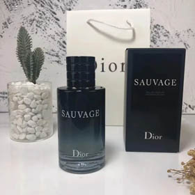 Dior Perfume（30+ style）